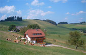 Ferienwohnungen Bauernhof Eckerhof Breitnau Schwarzwald