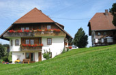 Ferienwohnungen auf dem Bauernhof FALLERHOF Breitnau Schwarzwald
