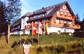 Hotel DIANA&nbsp;Feldberg