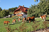 Ferienwohnung auf dem Bauernhof Schlossberghof in Haslach