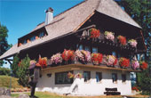 Ferienwohnungen Herchenhof Hinterzarten Schwarzwald