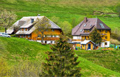 Ferienwohnungen in Oberried Schwarzwald / Familienurlaub