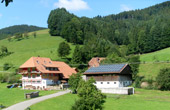 Ferienbauernhof in Mühlenbach Schwarzwald