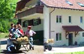 Ferienwohnungen beim&nbsp;Schwarzwaldhaus von 1902 in M&uuml;nstertal Schwarzwald