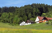 Stinneshof Urlaub auf dem Bauernhof Oberharmersbach Schwarzwald