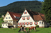 Urlaub auf dem Bauernhof Brujosenhof Oppenau Schwarzwald