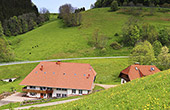 Hogenhof Ferienbauernhof Sankt Märgen Schwarzwald