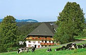 Ferienwohnung Bauernhof Willmannshof St Märgen Schwarzwald