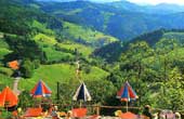Ferienwohnung Feldbergblick im s&uuml;dlichen Schwarzwald