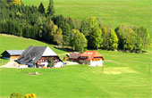Ferienwohnung Bauernhof Titisee Schwarzwald