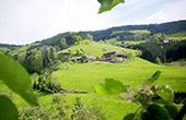 Ferienbauernhof Brucherhof Zell am Harmersbach Schwarzwald