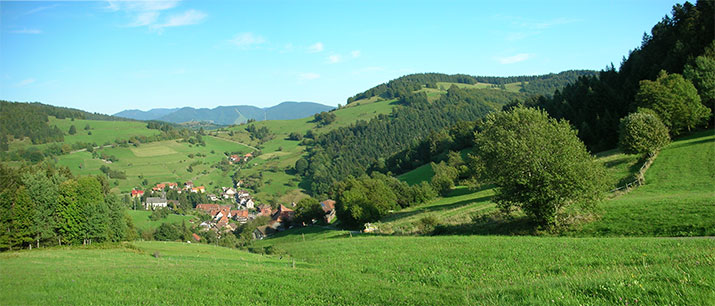 Kleines Wiesentral - Neuenweg im Schwarzwald