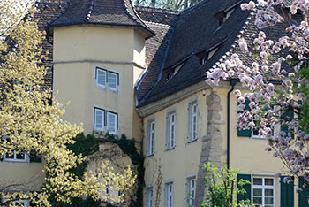 Altes Schloss mit Forstamt in Staufen