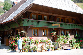 Aitern, Holzinshaus, Multen und Rollsbach im Naturpark Südschwarzwald