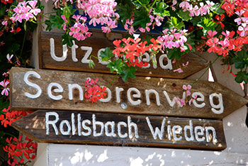 Aitern, Holzinshaus, Multen und Rollsbach im Naturpark Südschwarzwald