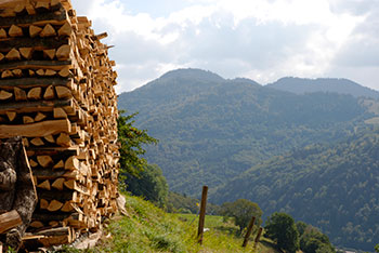 Aitern, Holzinshaus, Multen und Rollsbach im Naturpark Südschwarzwald