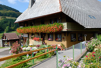 Aitern, Holzinshaus, Multen und Rollsbach im Naturpark Südschwarzwald