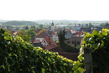 Auggen im Markgräflerland