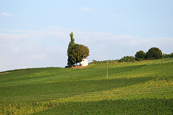 Auggen im Markgräflerland