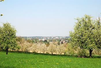 Auggen im Markgräflerland