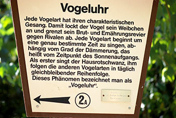 Vogeluhr im Kurpark