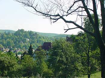 Blick auf den Ortskern Badenweiler 