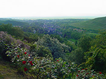 Blick von der Burg in Badenweiler ins Markgräflerland