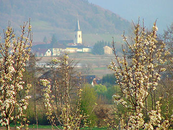 Ballrechten-Dottingen