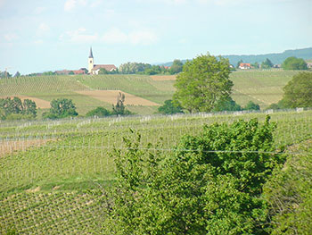 Ballrechten-Dottingen