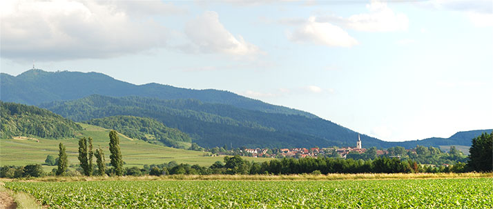 Ballrechten-Dottingen