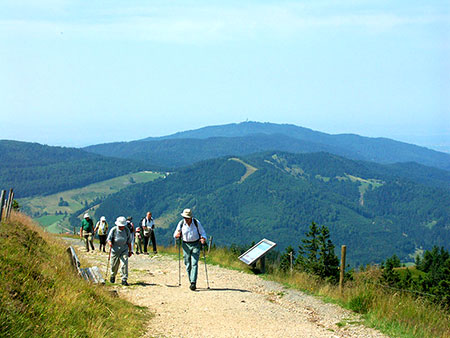 Blick vom Belchen in Richtung Wiesental