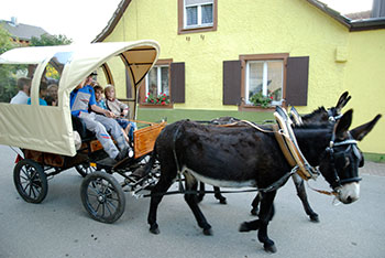 Buggingen-Betberg