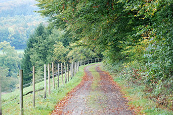 Bollschweil im Hexental und Breisgau / Schwarzwald