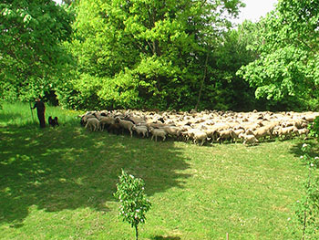 Bollschweil im Haxental, Breisgau