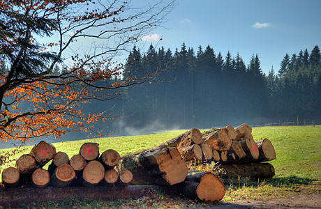 Breitnau im Schwarzwald