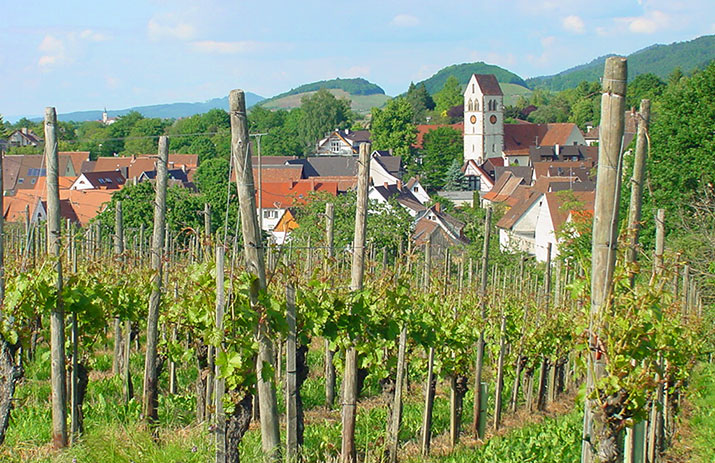 Müllheim-Briotzingen im Markgräflerland