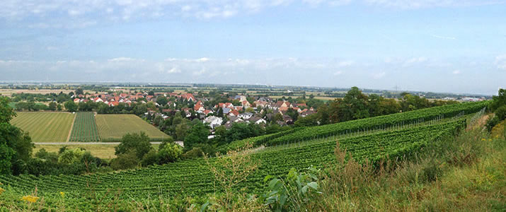 Buggingen-Seefelden