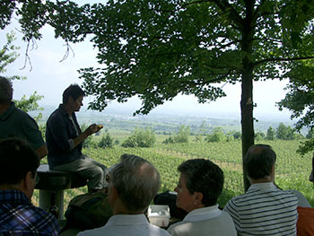 Buggingen Seefelden