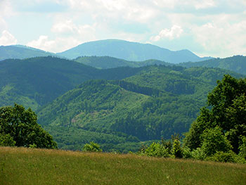 Ehrenkirchen im Breisgau