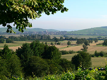 Ehrenkirchen im Breisgau