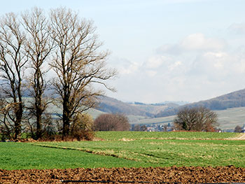 Ehrenkirchen im Breisgau