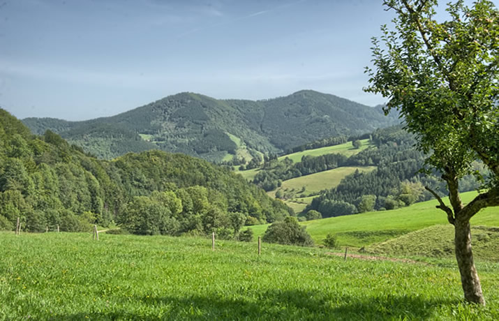 Elztal im nördlichen Breisgau