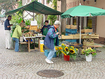 Emmendingen im nördlichen Breisgau