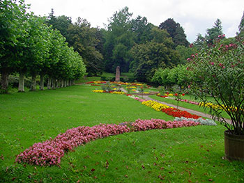 Emmendingen im nördlichen Breisgau