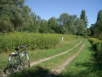 Eschbach im Breisgau/Markgräflerland