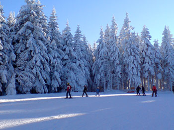 Feldberg