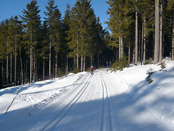 Feldberg