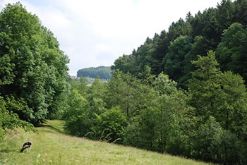 Freiamt im südlichen Schwarzwald