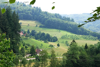 Freiamt im südlichen Schwarzwald