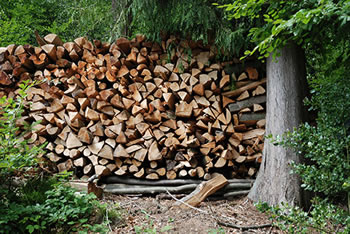 Freiamt im südlichen Schwarzwald